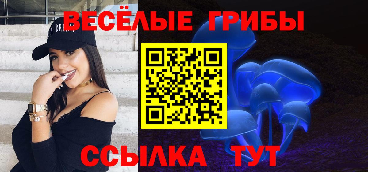 Псилоцибиновые грибы MAGIC MUSHROOMS Гатчина