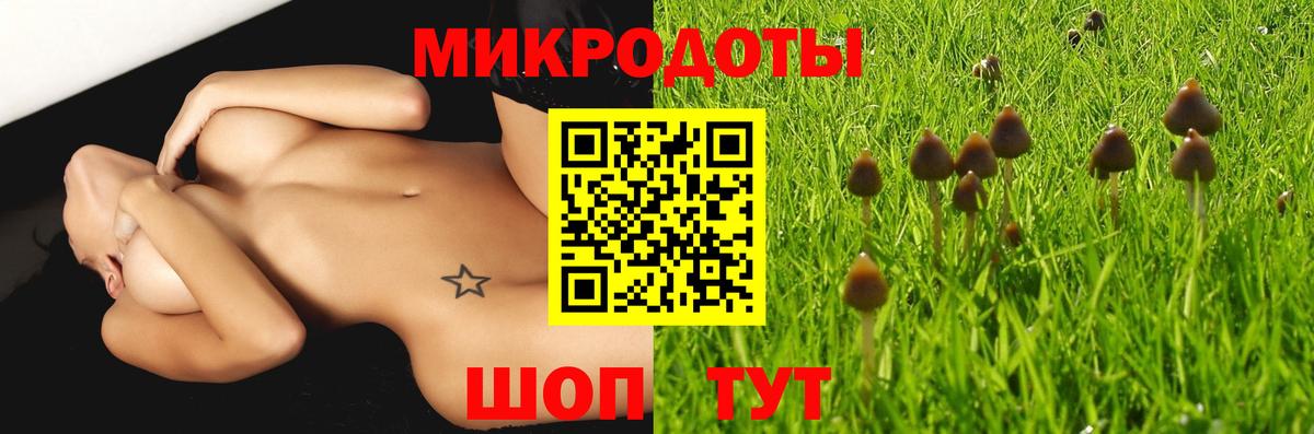 Галлюциногенные грибы ЛСД  Галлюциногенные грибы Psilocybe  как найти закладки  Вход с VPN  Гатчина 